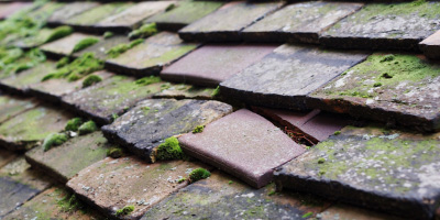 Great Saling roof repair costs